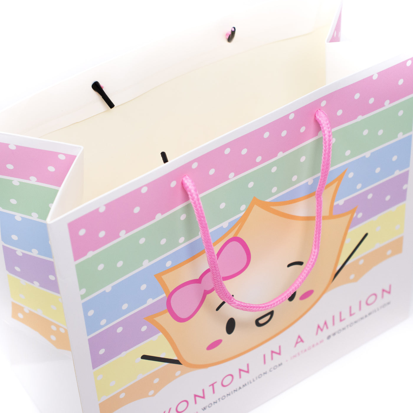 MISC011 | Wonton In A Million Gift Bag