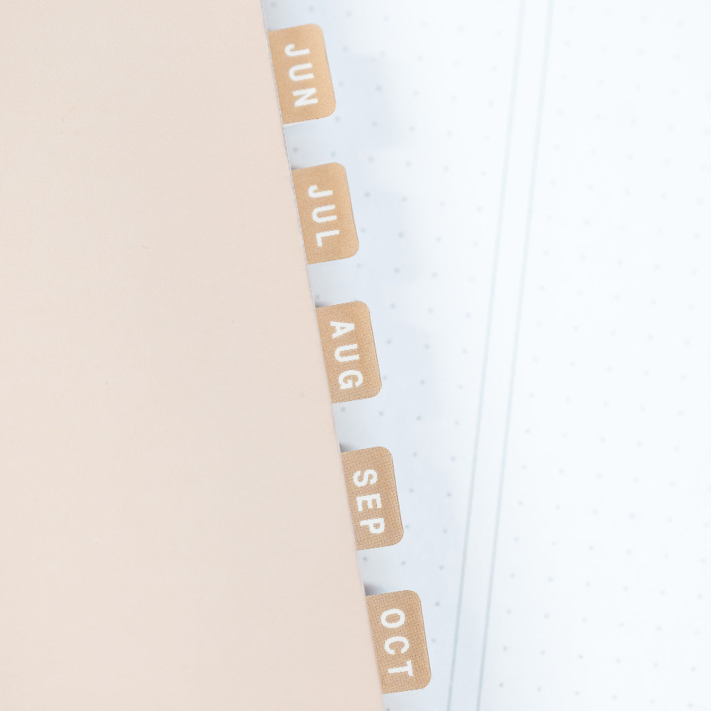 Neutral Monthly Tab Stickers