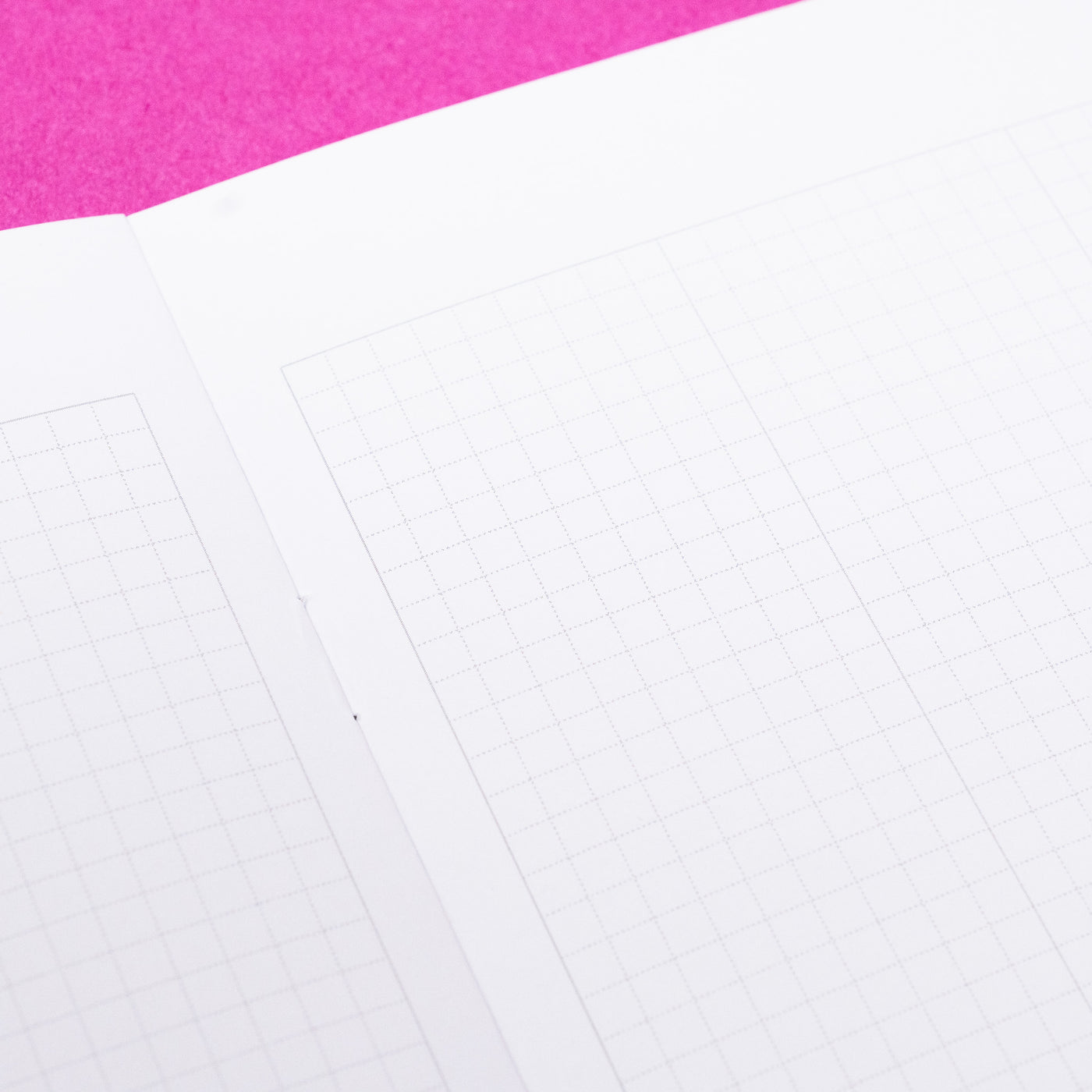 Year Of The Rabbit - Undated Grid Notebook