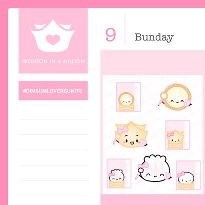 S098d | Wonton Of Pink Planners Stickers