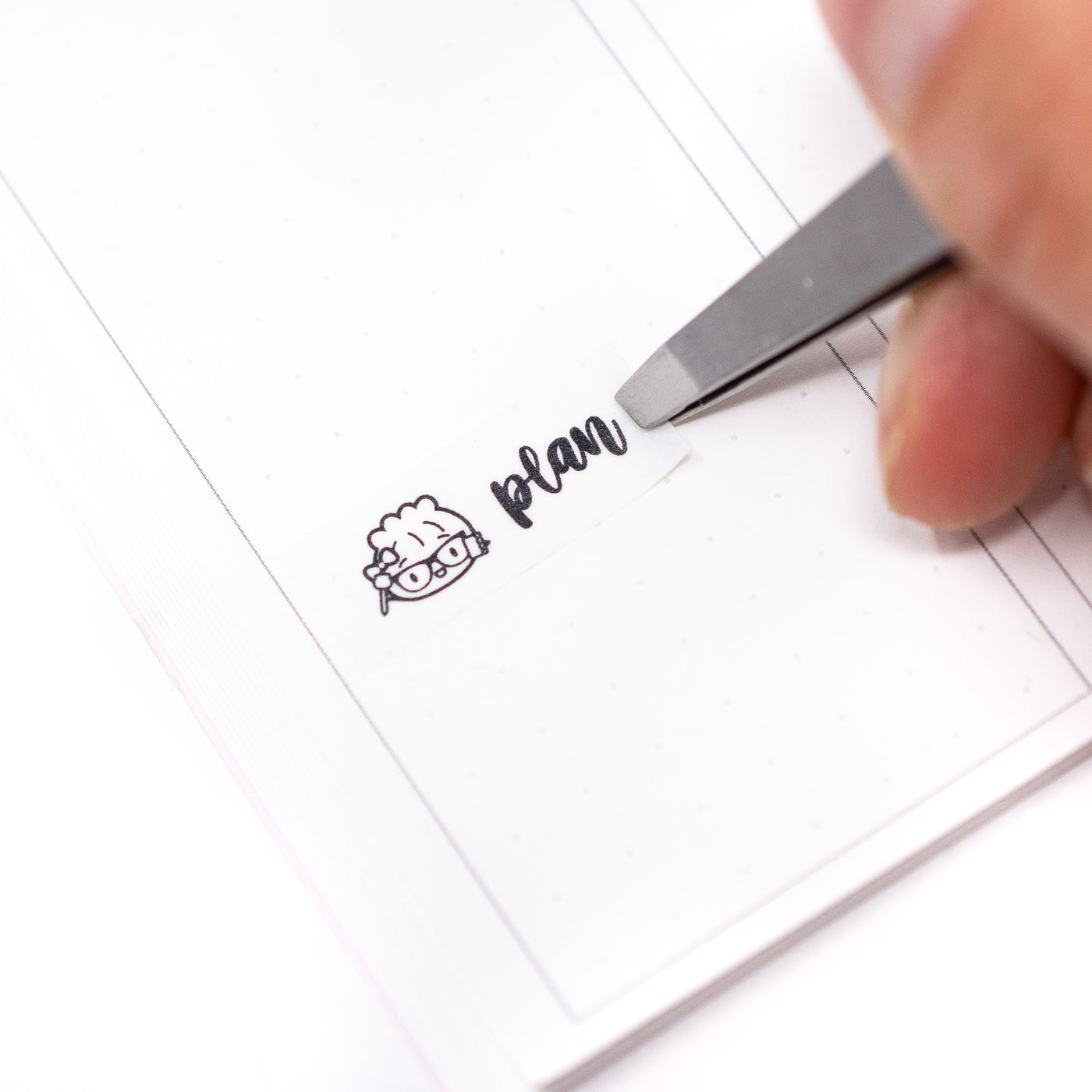 Scripts - Laundry Washi (1" Perforated, 10mm)